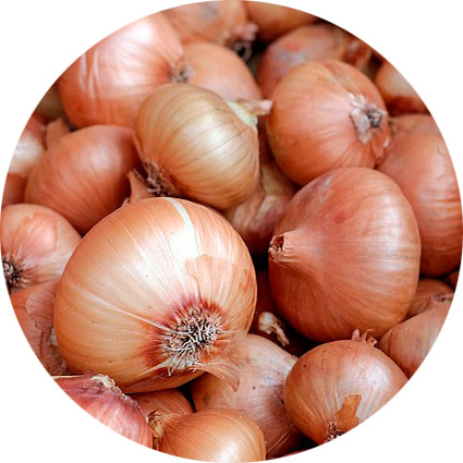 Onion